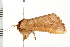  ( - 08BBLEP-00861)  @12 [ ] CreativeCommons - Attribution (2008) Unspecified Centre for Biodiversity Genomics