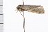  ( - 08BBLEP-05077)  @12 [ ] CreativeCommons - Attribution (2009) Unspecified Centre for Biodiversity Genomics