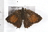  ( - 08BBLEP-05144)  @12 [ ] CreativeCommons - Attribution (2009) Unspecified Centre for Biodiversity Genomics