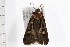  ( - 08BBLEP-05433)  @13 [ ] CreativeCommons - Attribution (2009) Unspecified Centre for Biodiversity Genomics