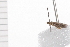  ( - 08BBLEP-05705)  @12 [ ] CreativeCommons - Attribution (2009) Unspecified Centre for Biodiversity Genomics