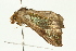  ( - 08BBLEP-05646)  @14 [ ] CreativeCommons - Attribution (2009) Unspecified Centre for Biodiversity Genomics