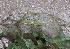  ( - MLL-00425)  @12 [ ] Unspecified (default): All Rights Reserved  Unspecified Unspecified
