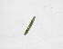  ( - MLL-01383)  @11 [ ] Unspecified (default): All Rights Reserved  Unspecified Unspecified