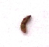  ( - MLL-01437)  @12 [ ] Unspecified (default): All Rights Reserved  Unspecified Unspecified