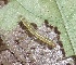  ( - MLL-01483)  @11 [ ] Unspecified (default): All Rights Reserved  Unspecified Unspecified
