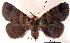  ( - USNM ENT 00454009)  @14 [ ] Unspecified (default): All Rights Reserved  Unspecified Unspecified