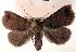  ( - USNM ENT 00453139)  @13 [ ] Unspecified (default): All Rights Reserved  Unspecified Unspecified