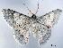  ( - USNM ENT 00493584)  @14 [ ] Unspecified (default): All Rights Reserved  Unspecified Unspecified