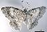  ( - USNM ENT 00456999)  @14 [ ] Unspecified (default): All Rights Reserved  Unspecified Unspecified