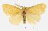  ( - USNM ENT 00733489.2)  @14 [ ] Unspecified (default): All Rights Reserved  Unspecified Unspecified