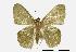  ( - USNM ENT 00733705)  @13 [ ] Unspecified (default): All Rights Reserved  Unspecified Unspecified