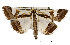  ( - USNM ENT 00733645)  @14 [ ] Unspecified (default): All Rights Reserved  Unspecified Unspecified
