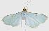  ( - USNM ENT 194747)  @13 [ ] Unspecified (default): All Rights Reserved  Unspecified Unspecified