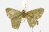  ( - USNM ENT 00733700)  @13 [ ] Unspecified (default): All Rights Reserved  Unspecified Unspecified