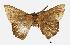  ( - USNM ENT 00733687)  @13 [ ] Unspecified (default): All Rights Reserved  Unspecified Unspecified