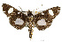  ( - USNM ENT 00733551)  @15 [ ] Unspecified (default): All Rights Reserved  Unspecified Unspecified