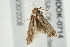  ( - MDOK-0714)  @12 [ ] CreativeCommons - Attribution (2009) Unspecified Centre for Biodiversity Genomics