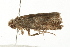  ( - MDOK-0745)  @12 [ ] CreativeCommons - Attribution (2009) Unspecified Centre for Biodiversity Genomics