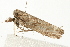  ( - MDOK-0778)  @13 [ ] CreativeCommons - Attribution (2009) Unspecified Centre for Biodiversity Genomics