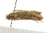  ( - MDOK-0799)  @13 [ ] CreativeCommons - Attribution (2009) Unspecified Centre for Biodiversity Genomics