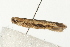  ( - MDOK-0825)  @12 [ ] CreativeCommons - Attribution (2009) Unspecified Centre for Biodiversity Genomics