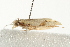  ( - MDOK-0834)  @12 [ ] CreativeCommons - Attribution (2009) Unspecified Centre for Biodiversity Genomics