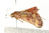  ( - MDOK-0847)  @11 [ ] CreativeCommons - Attribution (2009) Unspecified Centre for Biodiversity Genomics