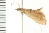  ( - MDOK-0018)  @13 [ ] CreativeCommons - Attribution (2008) Unspecified Centre for Biodiversity Genomics