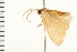  ( - MDOK-0037)  @12 [ ] CreativeCommons - Attribution (2008) Unspecified Centre for Biodiversity Genomics
