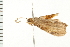  ( - MDOK-0062)  @12 [ ] CreativeCommons - Attribution (2008) Unspecified Centre for Biodiversity Genomics