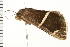  ( - MDOK-0064)  @14 [ ] CreativeCommons - Attribution (2008) Unspecified Centre for Biodiversity Genomics