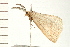  ( - MDOK-0099)  @13 [ ] CreativeCommons - Attribution (2008) Unspecified Centre for Biodiversity Genomics
