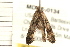  ( - MDOK-0134)  @13 [ ] CreativeCommons - Attribution (2008) Unspecified Centre for Biodiversity Genomics