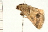  ( - MDOK-0138)  @12 [ ] CreativeCommons - Attribution (2008) Unspecified Centre for Biodiversity Genomics