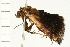  ( - MDOK-0164)  @13 [ ] CreativeCommons - Attribution (2008) Unspecified Centre for Biodiversity Genomics