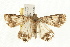  ( - MDOK-0672)  @14 [ ] CreativeCommons - Attribution (2009) Unspecified Centre for Biodiversity Genomics