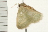  ( - MDOK-0195)  @12 [ ] CreativeCommons - Attribution (2008) Unspecified Centre for Biodiversity Genomics