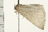  ( - MDOK-0198)  @13 [ ] CreativeCommons - Attribution (2008) Unspecified Centre for Biodiversity Genomics