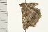  ( - MDOK-0200)  @12 [ ] CreativeCommons - Attribution (2008) Unspecified Centre for Biodiversity Genomics