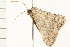  ( - MDOK-0204)  @13 [ ] CreativeCommons - Attribution (2008) Unspecified Centre for Biodiversity Genomics