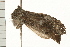  ( - MDOK-0209)  @12 [ ] CreativeCommons - Attribution (2008) Unspecified Centre for Biodiversity Genomics