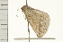  ( - MDOK-0226)  @13 [ ] CreativeCommons - Attribution (2008) Unspecified Centre for Biodiversity Genomics