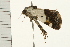  ( - MDOK-0231)  @13 [ ] CreativeCommons - Attribution (2008) Unspecified Centre for Biodiversity Genomics