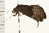  ( - MDOK-0263)  @12 [ ] CreativeCommons - Attribution (2008) Unspecified Centre for Biodiversity Genomics