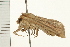 ( - MDOK-0284)  @12 [ ] CreativeCommons - Attribution (2008) Unspecified Centre for Biodiversity Genomics