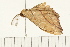  ( - MDOK-0301)  @12 [ ] CreativeCommons - Attribution (2008) Unspecified Centre for Biodiversity Genomics