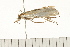  ( - MDOK-0323)  @13 [ ] CreativeCommons - Attribution (2008) Unspecified Centre for Biodiversity Genomics