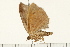  ( - MDOK-0340)  @12 [ ] CreativeCommons - Attribution (2008) Unspecified Centre for Biodiversity Genomics