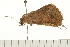  ( - MDOK-0362)  @12 [ ] CreativeCommons - Attribution (2008) Unspecified Centre for Biodiversity Genomics